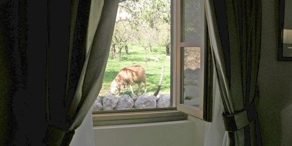 S'Hort De Cas Misser Boutique Hotel (Adults Only) Selva  Exterior foto